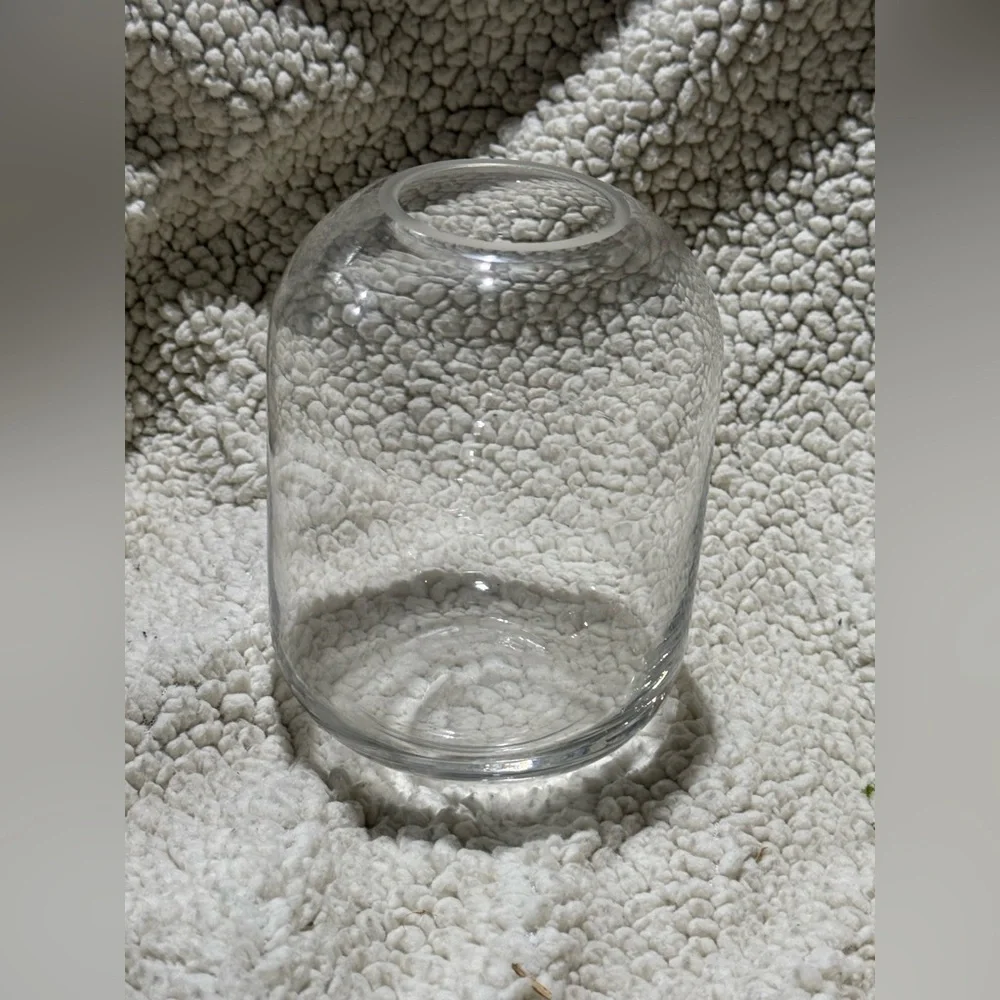Xxx listing for the Clear Glass Vase only xxxx - Home Accents